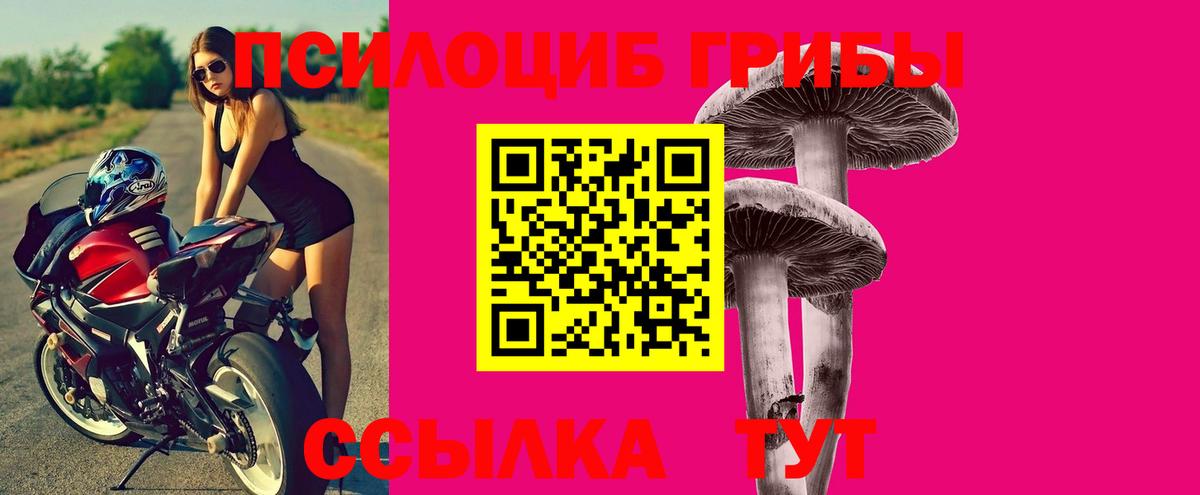 Псилоцибиновые грибы GOLDEN TEACHER  Вход с VPN  Конаково  Псилоцибиновые грибы Magic Shrooms 